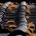 Expert Roof Restoration: Extend Your Roof's Lifespan